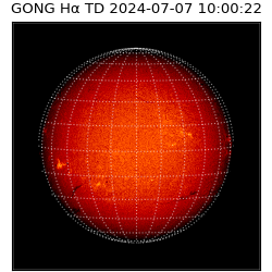 gong - 2024-07-07T10:00:22