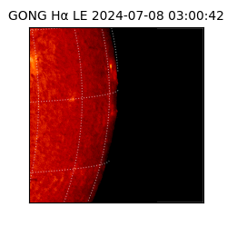 gong - 2024-07-08T03:00:42