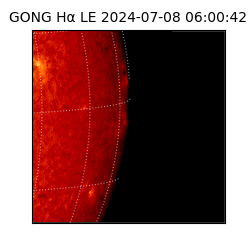 gong - 2024-07-08T06:00:42