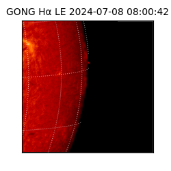 gong - 2024-07-08T08:00:42