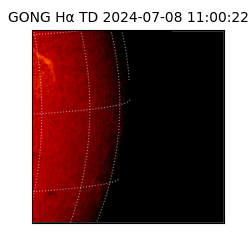 gong - 2024-07-08T11:00:22