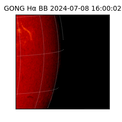 gong - 2024-07-08T16:00:02