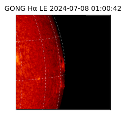 gong - 2024-07-08T01:00:42