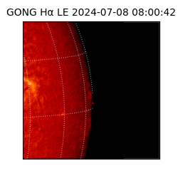 gong - 2024-07-08T08:00:42