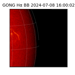 gong - 2024-07-08T16:00:02