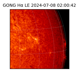 gong - 2024-07-08T02:00:42