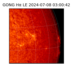 gong - 2024-07-08T03:00:42