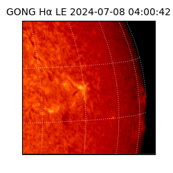 gong - 2024-07-08T04:00:42