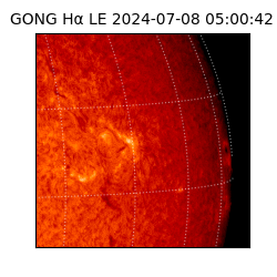 gong - 2024-07-08T05:00:42