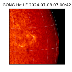 gong - 2024-07-08T07:00:42