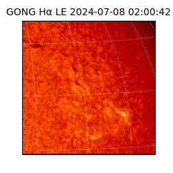 gong - 2024-07-08T02:00:42