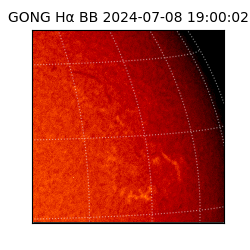 gong - 2024-07-08T19:00:02