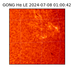 gong - 2024-07-08T01:00:42