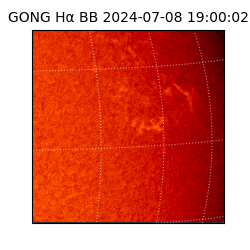 gong - 2024-07-08T19:00:02