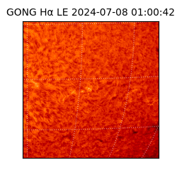 gong - 2024-07-08T01:00:42