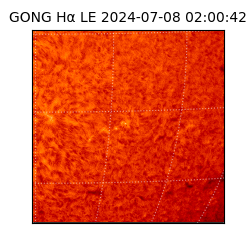 gong - 2024-07-08T02:00:42