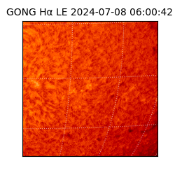 gong - 2024-07-08T06:00:42