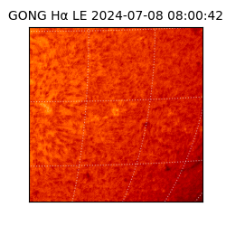 gong - 2024-07-08T08:00:42