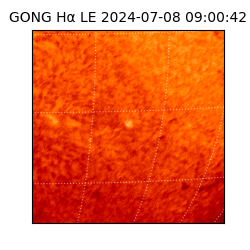 gong - 2024-07-08T09:00:42