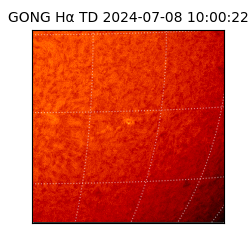 gong - 2024-07-08T10:00:22