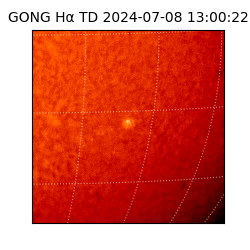 gong - 2024-07-08T13:00:22