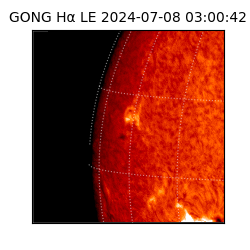 gong - 2024-07-08T03:00:42