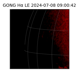 gong - 2024-07-08T09:00:42