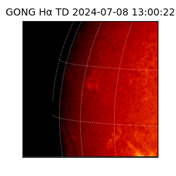 gong - 2024-07-08T13:00:22