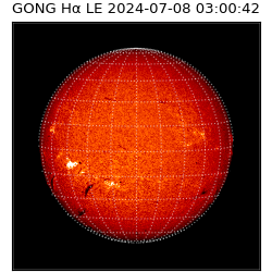 gong - 2024-07-08T03:00:42