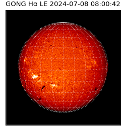 gong - 2024-07-08T08:00:42