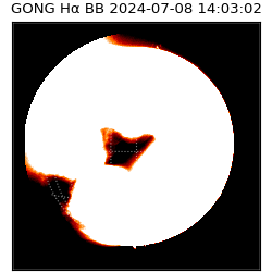 gong - 2024-07-08T14:03:02