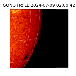 gong - 2024-07-09T02:00:42