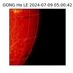 gong - 2024-07-09T05:00:42