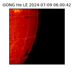 gong - 2024-07-09T06:00:42