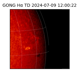 gong - 2024-07-09T12:00:22