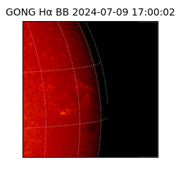 gong - 2024-07-09T17:00:02
