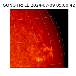 gong - 2024-07-09T05:00:42