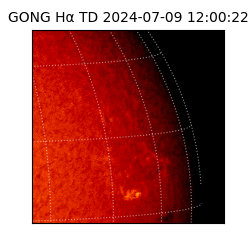 gong - 2024-07-09T12:00:22