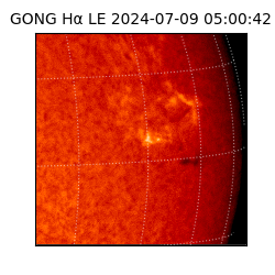 gong - 2024-07-09T05:00:42