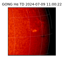gong - 2024-07-09T11:00:22