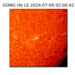 gong - 2024-07-09T02:00:42