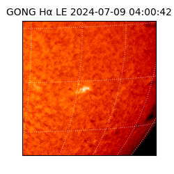 gong - 2024-07-09T04:00:42