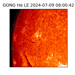 gong - 2024-07-09T08:00:42