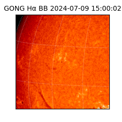 gong - 2024-07-09T15:00:02