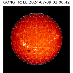 gong - 2024-07-09T02:00:42