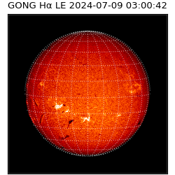 gong - 2024-07-09T03:00:42