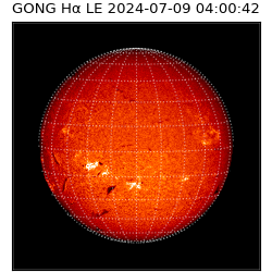 gong - 2024-07-09T04:00:42