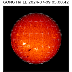 gong - 2024-07-09T05:00:42