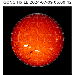 gong - 2024-07-09T06:00:42