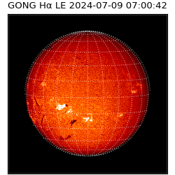 gong - 2024-07-09T07:00:42